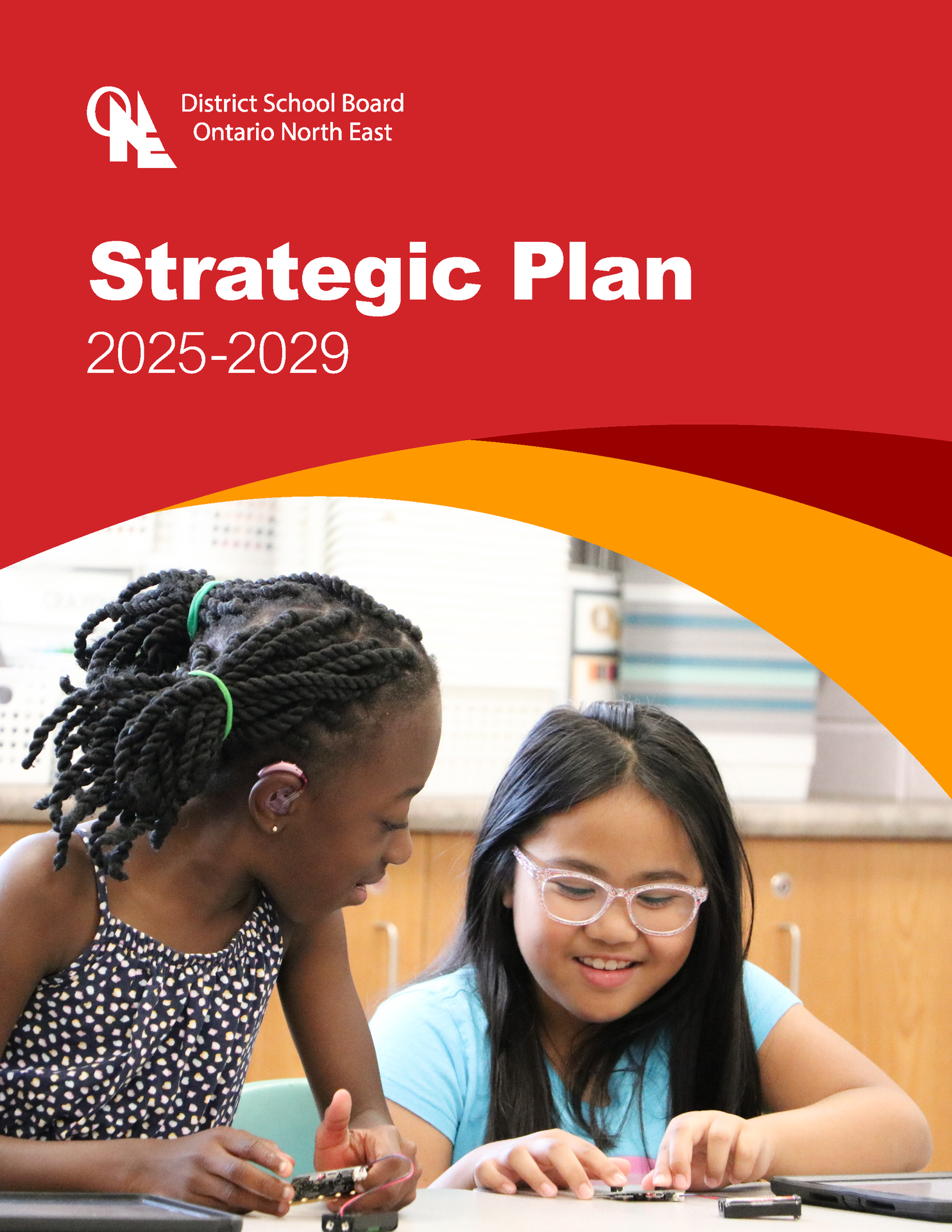 2025-2029StrategicPlanWeb_Page_1.png